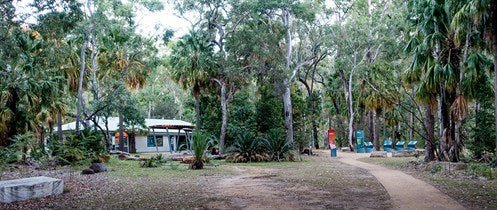 Carnarvon Gorge NP Visitors' Centre Now Open - Camper Trailer Australia