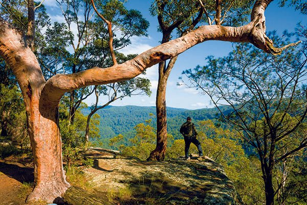 Watagan Mountains, NSW - Camper Trailer Australia