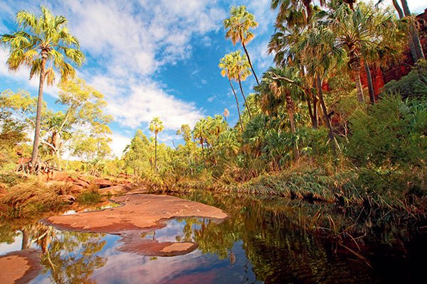 Palm Valley, NT - Camper Trailer Australia