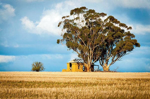 The Wheatbelt Region, WA - Camper Trailer Australia