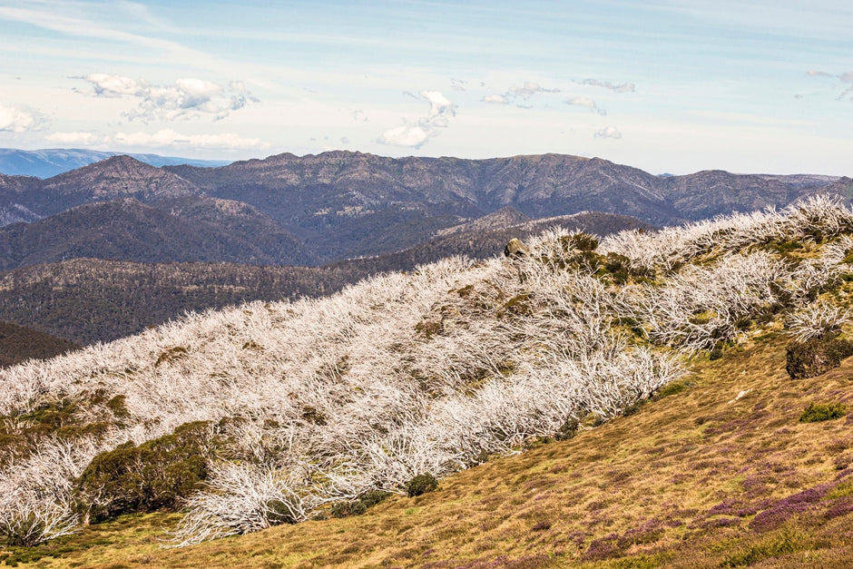 Victorian High Country vs Your Camper - Camper Trailer Australia