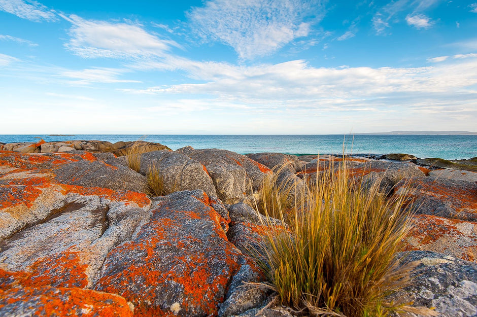 Exploring Tasmania’s Bay of Fires region - Camper Trailer Australia