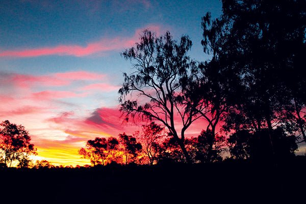 Kings Creek Station, NT - Camper Trailer Australia