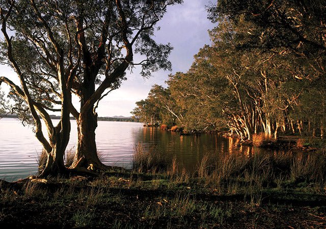 MYALL LAKES NSW - Camper Trailer Australia