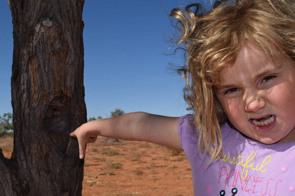 Bad Camping Behaviour - Camper Trailer Australia