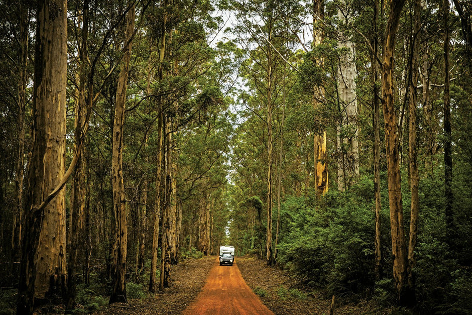 Walpole Wonderland - Camper Trailer Australia