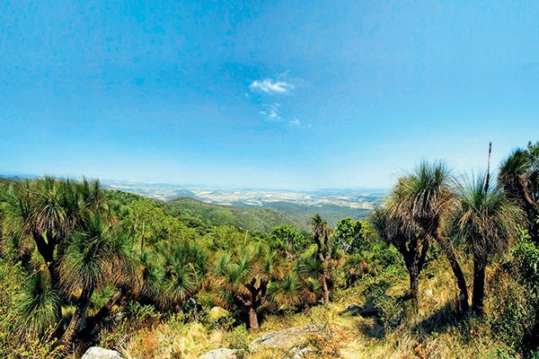 Bunya Mountains, Qld - Camper Trailer Australia