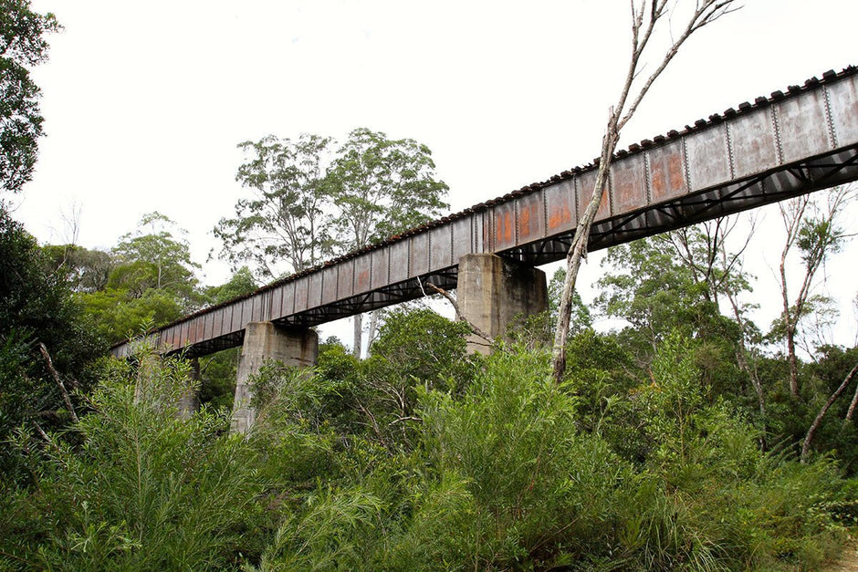 Top things to do on the Coffs Coast, NSW - Camper Trailer Australia