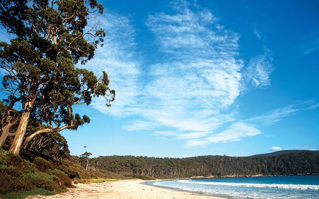 Tasman National Park, Tasmania - Camper Trailer Australia