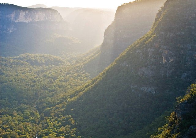 WOLLEMI NATIONAL PARK NSW - Camper Trailer Australia