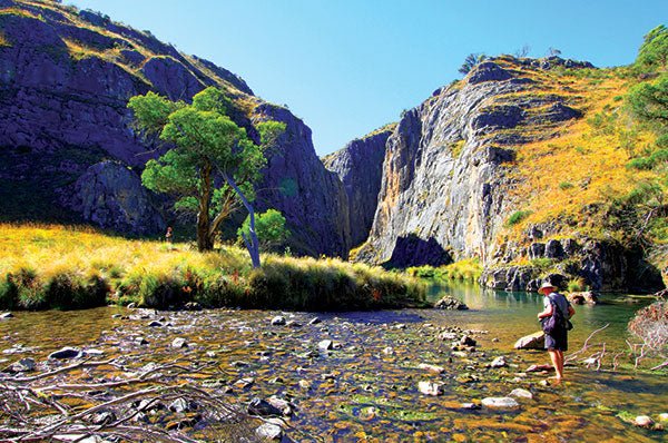 Australian Alps - Camper Trailer Australia