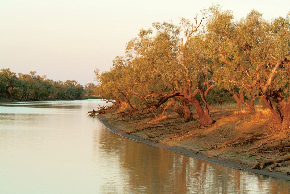 Travel Planning For Late 2020 - Camper Trailer Australia