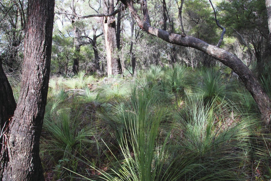 Not One Redeeming Feature - Camper Trailer Australia