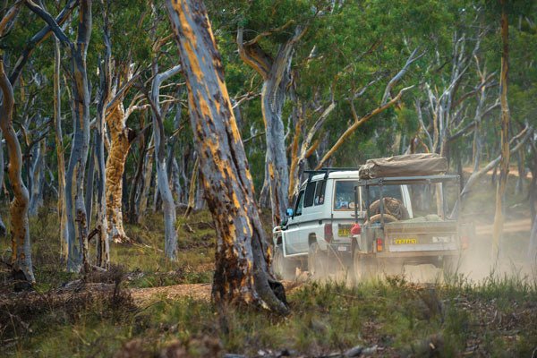 Abercrombie River National Park, NSW - Camper Trailer Australia