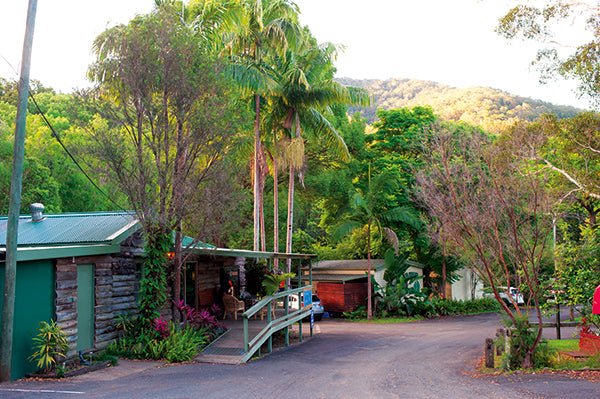 Mt Warning Rainforest Park, NSW - Camper Trailer Australia