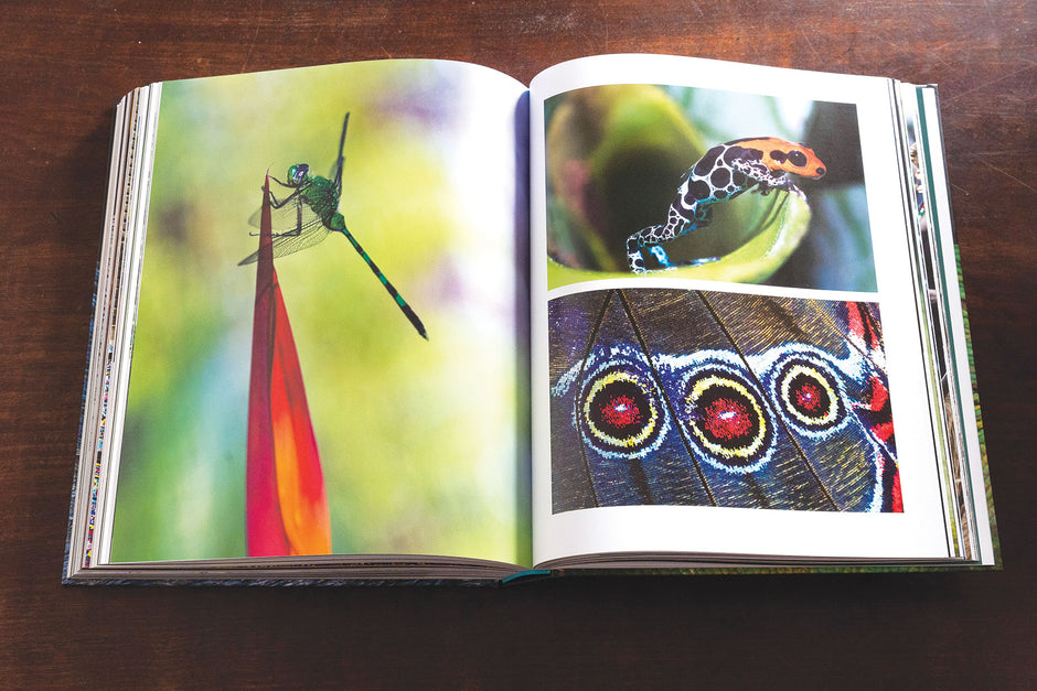 Photography Book by National Geographic's Jason Edwards - Camper Trailer Australia