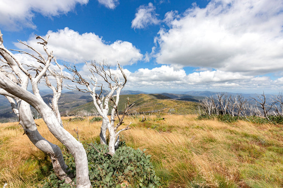 Exploring Mount Pinnibar & Geehi Huts - Summits, Huts and Water Crossings - Camper Trailer Australia