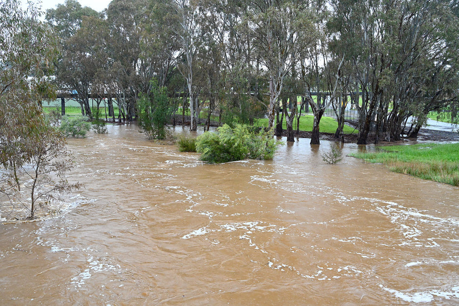 Local Businesses Reopen after Floods - Camper Trailer Australia