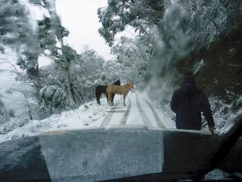 TRAVEL: VICTORIAN HIGH COUNTRY - Camper Trailer Australia