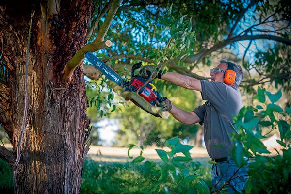 Top 10 chainsaw maintenance tips - Camper Trailer Australia