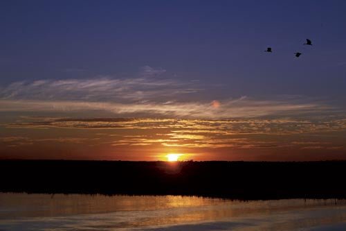 Kakadu National Park, NT - Camper Trailer Australia