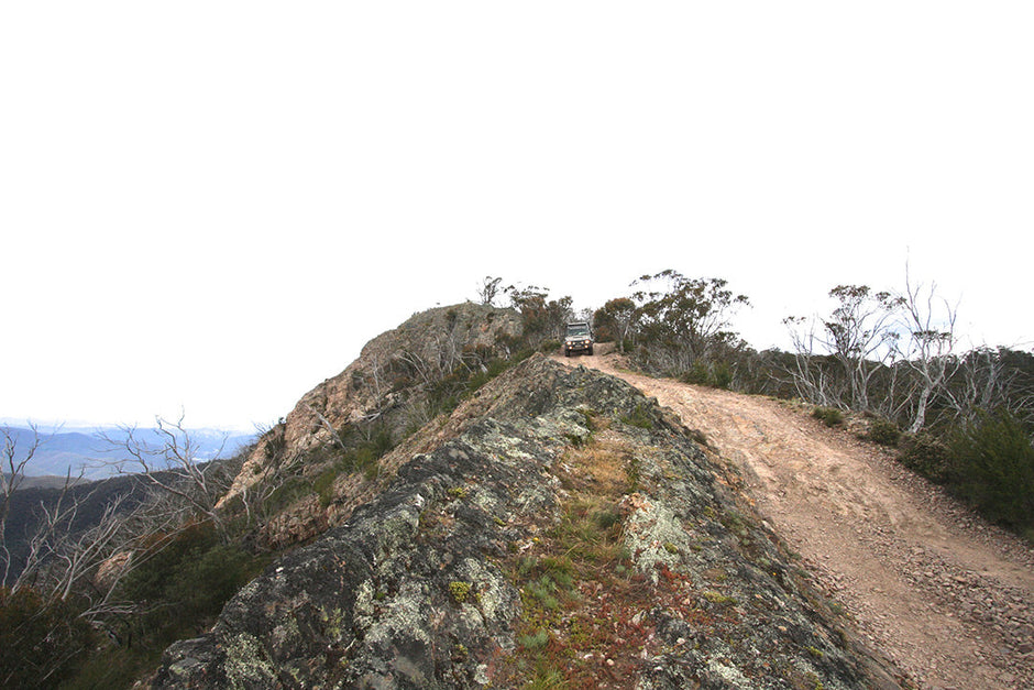 Billy Goat Bluff Track in the Vic High Country