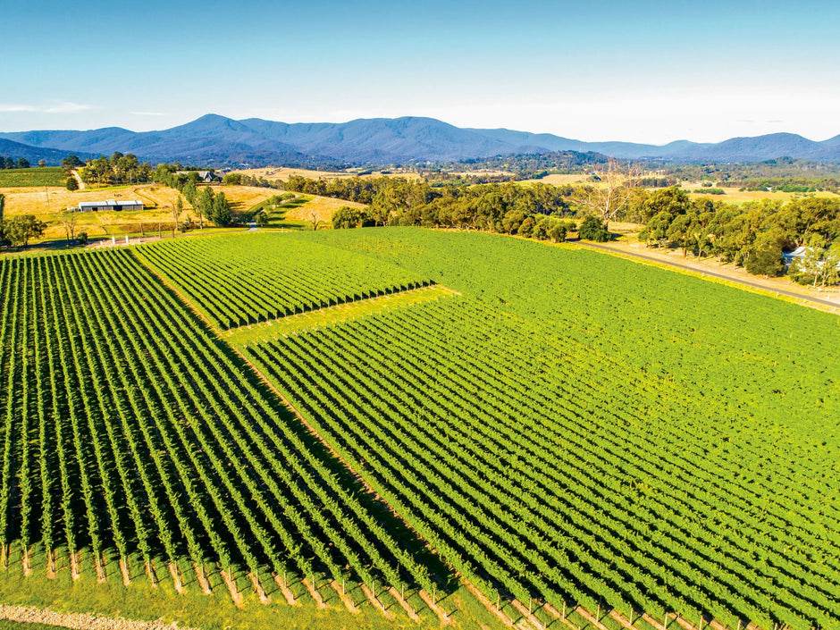 Meandering the Yarra Valley - Camper Trailer Australia