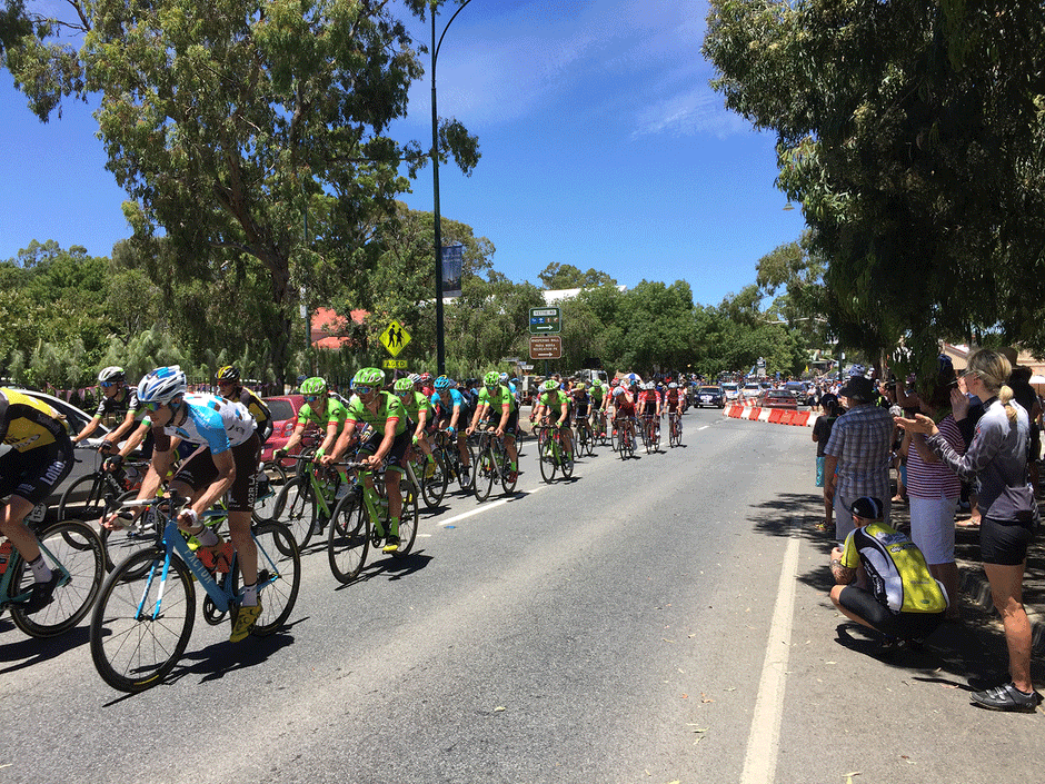 Head south for the Tour Down Under