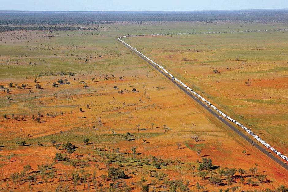 Longest Line of RVs Ever - Camper Trailer Australia