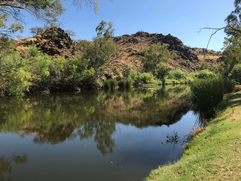 Clem Walton Park in Queensland