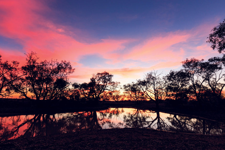 Sturt National Park — a land full of diversity - Camper Trailer Australia