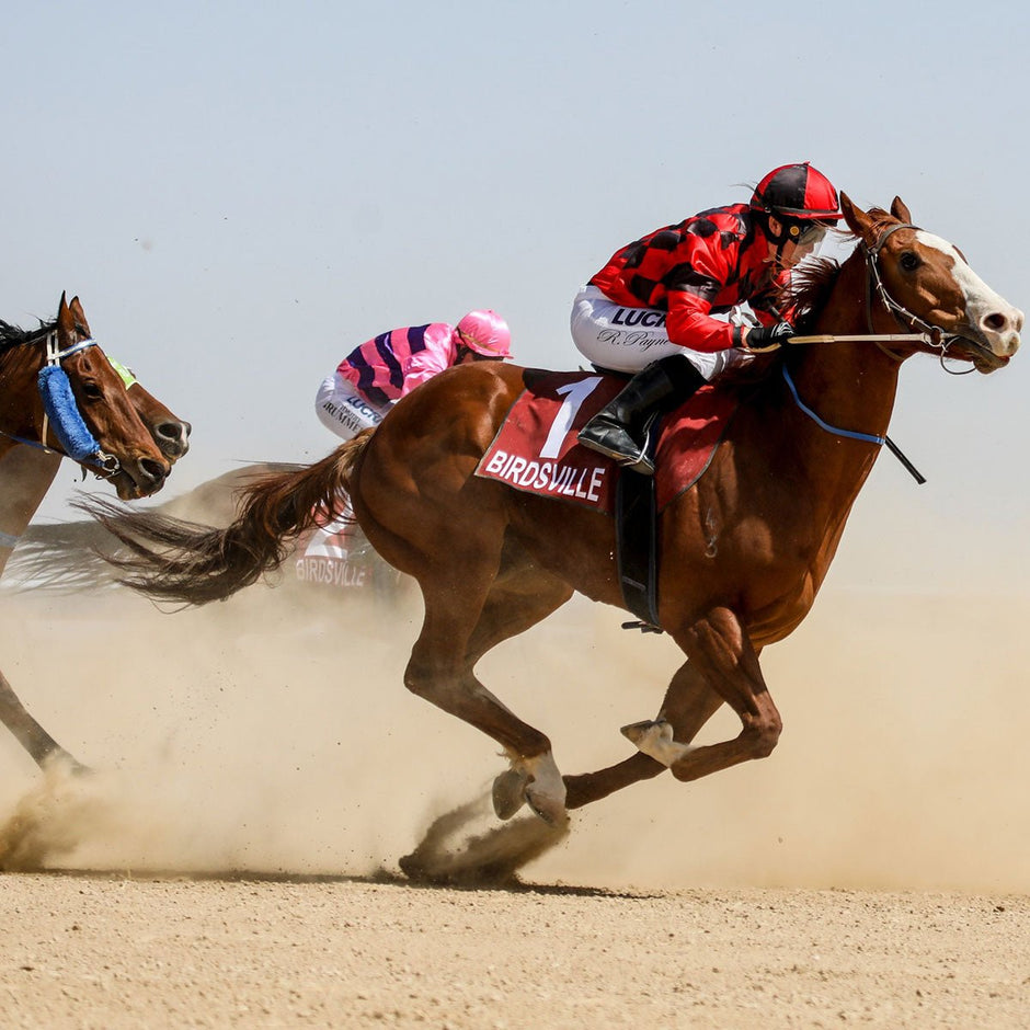 2024 Birdsville Races | Early bird tickets now available - Camper Trailer Australia