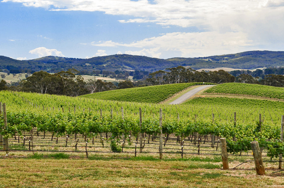 Summer Holiday Destination - Adelaide Hills, SA - Camper Trailer Australia