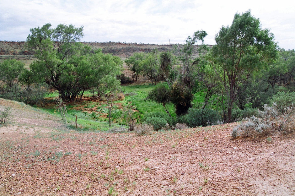 Where Spaceman Meet the Outback - Camper Trailer Australia