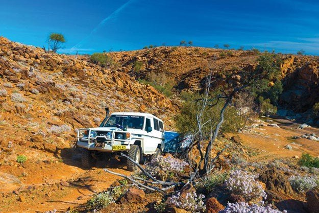 Cleaning Behind the Ears - Camper Trailer Australia