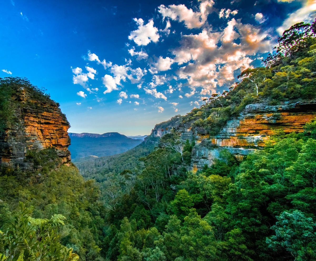 Blue Mountains