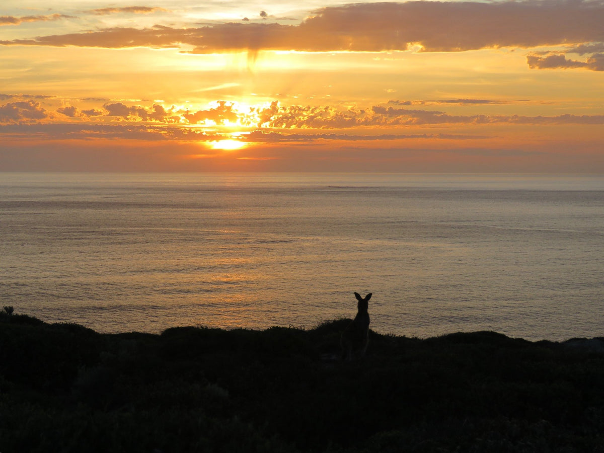 South Australia's best free and budget camping spots - Camper Trailer Australia